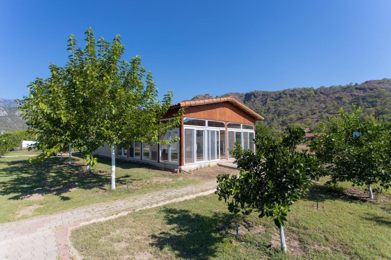 Ugur Pansiyon Bungalows Çıralı Exteriér fotografie