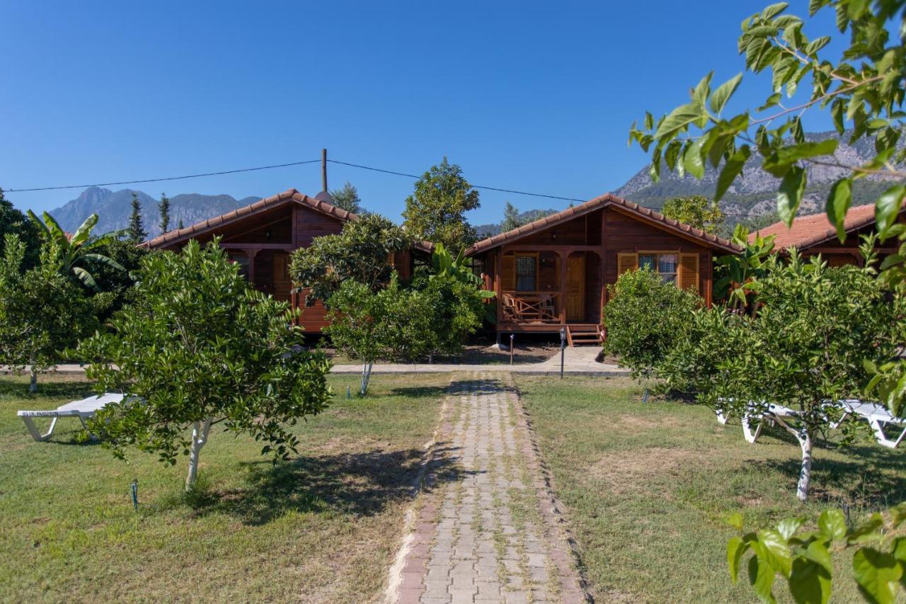 Ugur Pansiyon Bungalows Çıralı Exteriér fotografie